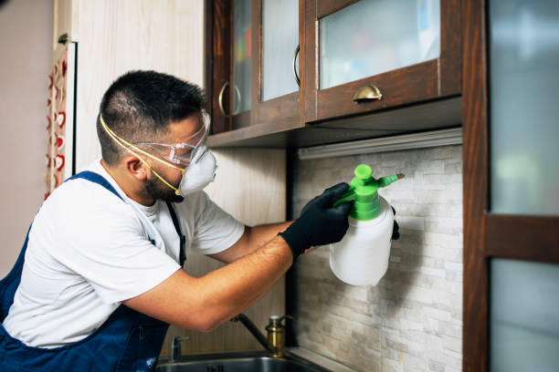 Best Affordable Exterminators  in Ringgold, GA