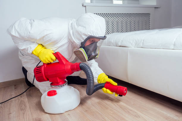 Best Exterminator Services  in Ringgold, GA