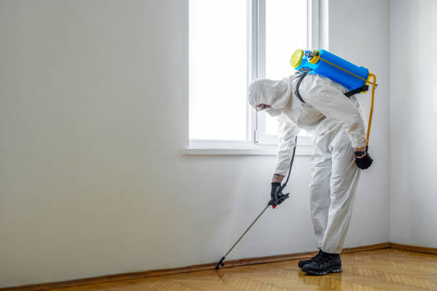 Best Commercial Pest Control Services  in Ringgold, GA