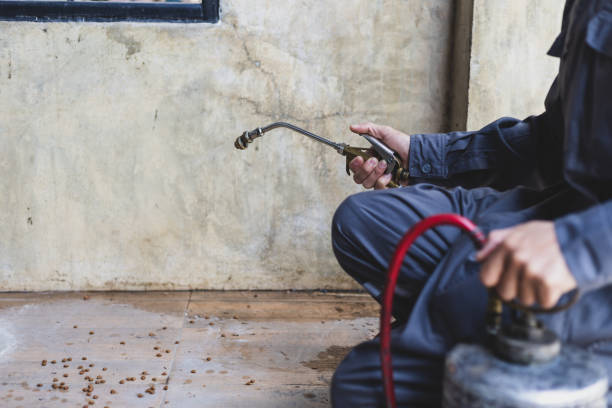Best Ant Control Services  in Ringgold, GA